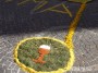 infiorata (42)